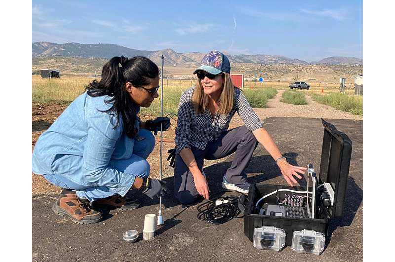 This is the alt text