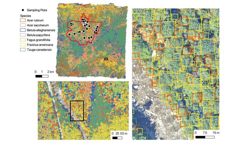 This is the alt text