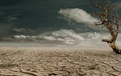Guterres: A globális felmelegedés 1,5 °C-os korlátjának rövid távú elérése már nem lehetséges