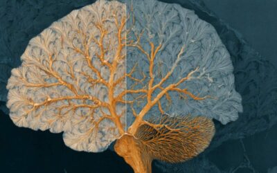 Autizmus és ADHD: Közös agyi kapcsolódási mintázatok és genetikai összefüggések