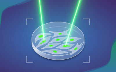 MAGIC: Mesterséges intelligencia által támogatott lézeres jelölés a rák eredetének feltárására