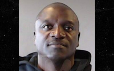 Akon letartóztatása Georgiában – részletek és fejlemények