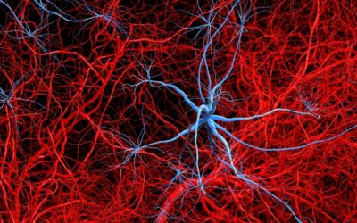 Az Alzheimer-kór hatása a zsír- és idegszövetekre: új kutatási eredmények