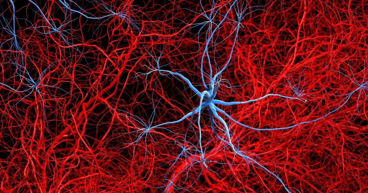 Alzheimer-kór és új kezelési lehetőségek kutatása alzheimer kor agy zsirszovet idegszovet kutatas kezelesi lehetosegek