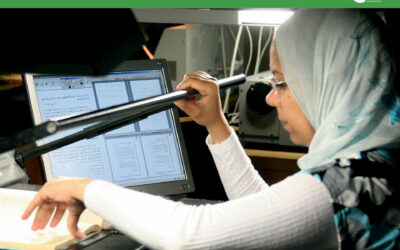 Rassz alapú különbségek az amerikai nemzeti politika képviseletében: pártpolitika és választói preferenciák