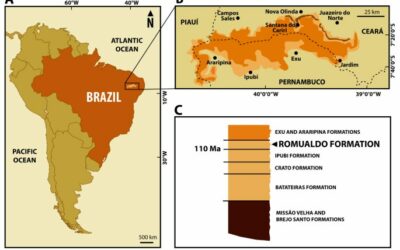 Az Araripe-medence déli és délkeleti peremének geológiai feltérképezése és a pteroszauruszok paleontológiája