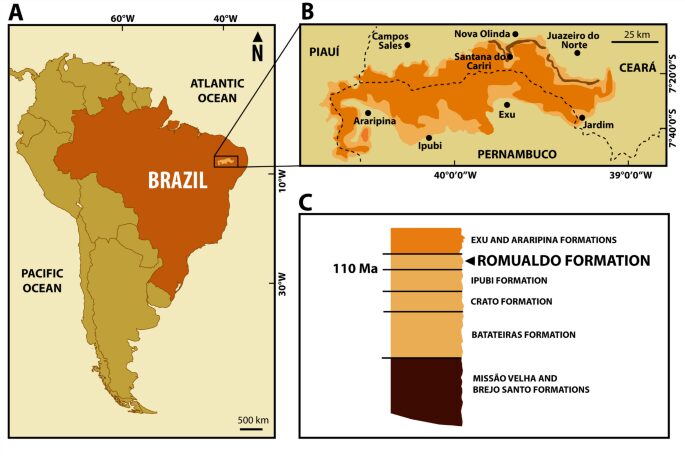 geologia araripe medence pteroszauruszok paleontologia kutatas korai kreta