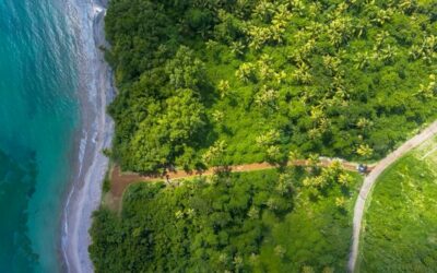 COP30: A klímaváltozás elleni globális összefogás új mérföldköve Belémben