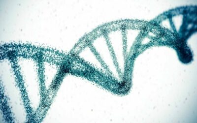 Új génszerkesztési eljárás ígéretes eredményei a magas koleszterinszint kezelésében