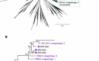 A Föld viromjának feltárása: Vírusok, mikrobiomok és CRISPR-technológiák a környezeti mikrobiológiában