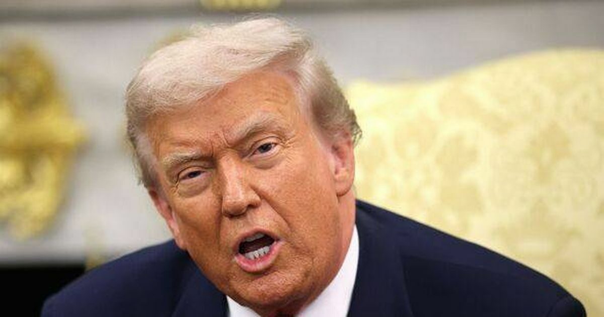 Jamie Lee Curtis bírálata Donald Trump viselkedéséről és Diana hercegnő levele Jamie Lee Curtis kritikus vélemény Donald Trump vezetéséről