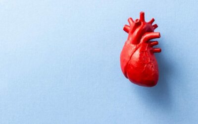 A szív és az agy kapcsolata: hogyan jelezheti a középkori szívizomkárosodás a demencia kockázatát?