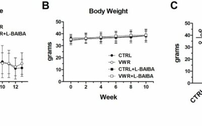Az L-BAIBA és az állóképességi edzés szinergiája: izom- és csontfejlődés középkorú egerekben