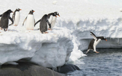 A Linux asztali környezetek újra feltalálása – miért nem létezik még az igazi alternatíva?