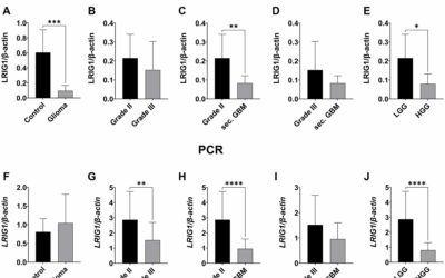 LRIG1-3 fehérjék szerepe a gliomák diagnosztikájában és terápiájában