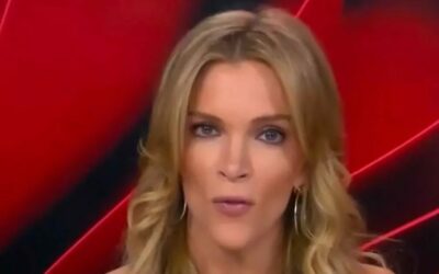 Megyn Kelly felháborodott a jobboldali szatirikus oldal gúnyolódása miatt