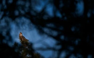 Meta rekordméretű adatközpont finanszírozása és az AI infrastruktúra kihívásai