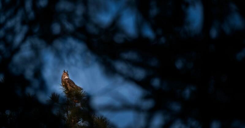 meta finanszirozas spv struktura ai infrastrukturai kihivasok