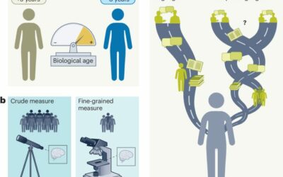 Kutatási támogatások a nyelv, agy és tanulás területén – C-LaBL és Horizon Europe program