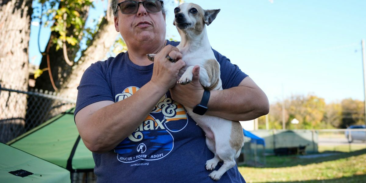 Önkéntesek és nonprofit szervezetek állatsegély program támogatása önkéntesek nonprofit szervezetek állatsegély program támogatás