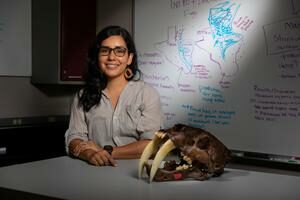 Ősi kőeszközök és az emberi találékonyság 300 000 éven át a Turkana-medencében