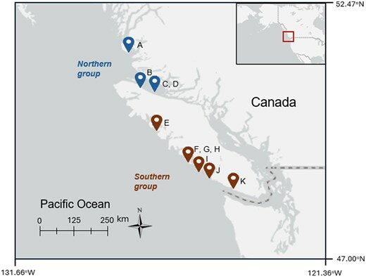PFAS vegyületek felhalmozódása vidrákban Brit Columbiában – kutatás és hatások pfas vegyületek felhalmozódása vidrákban brit columbia kutatás