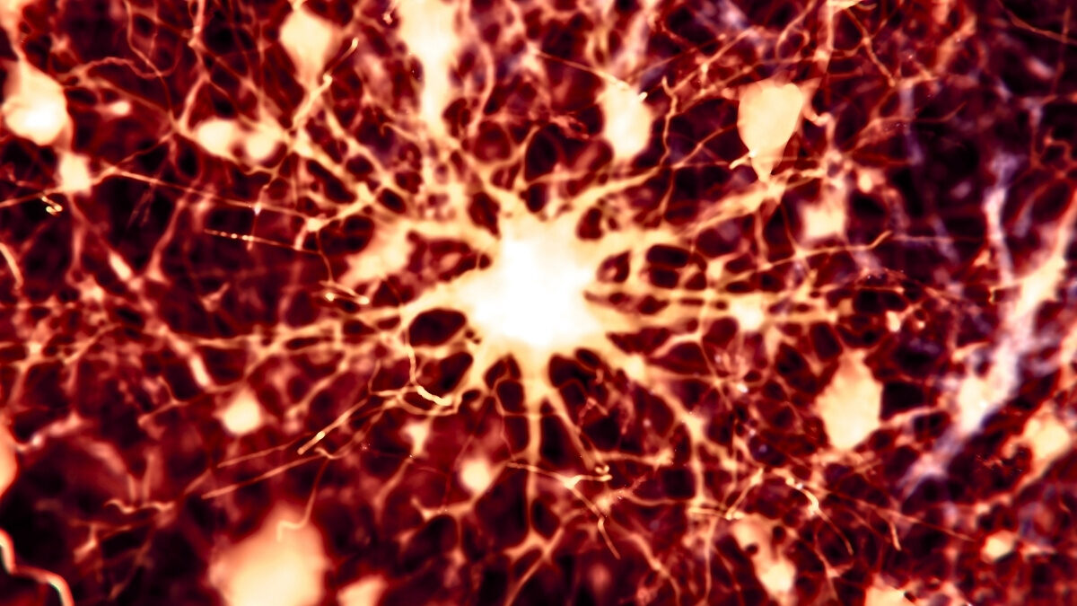 rakellenes gyogyszerek Alzheimer kor kezelese kutatasi eredmenyek