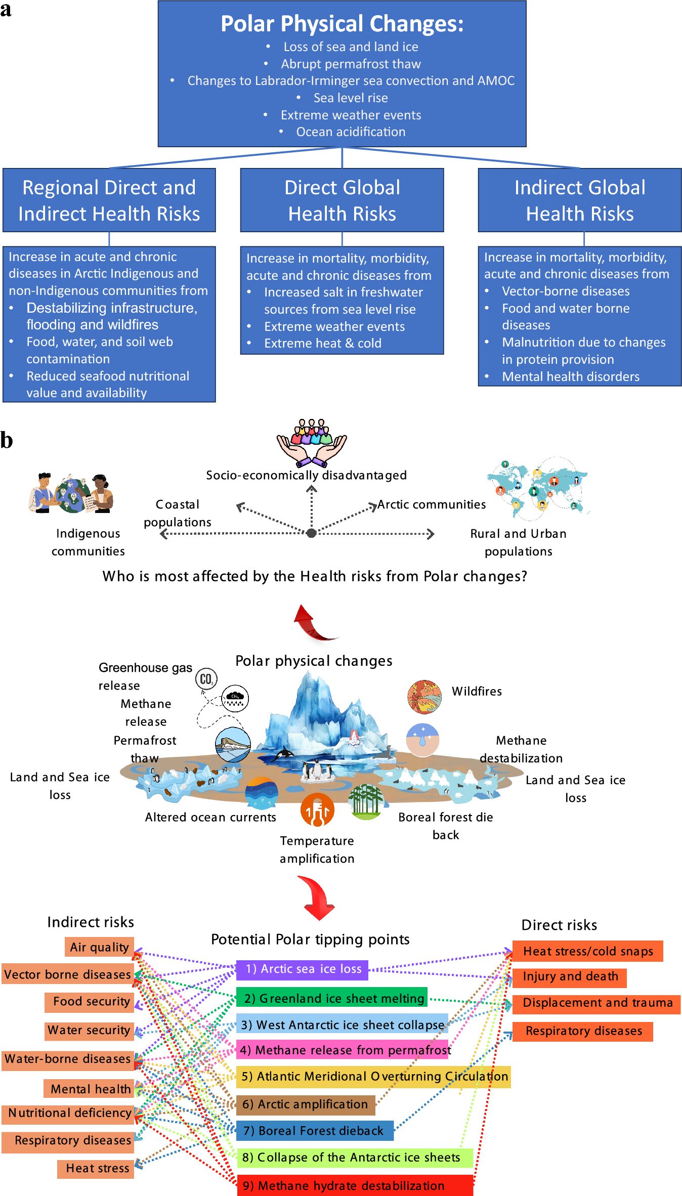 Sarkvidéki fizikai változások és klímaváltozás hatásai globális kockázatok