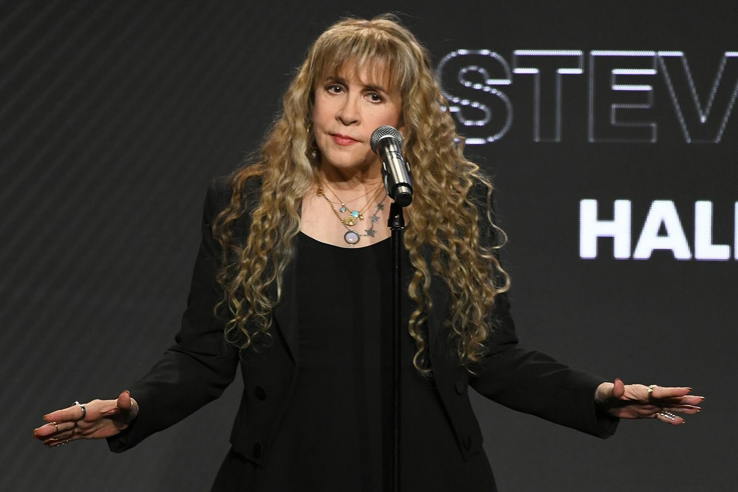 Stevie Nicks felépülése és turné motivációja Brooklynban Stevie Nicks koncert motiváció rajongók felépülés turné