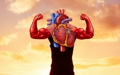 Férfiak és a szív egészsége: Miért kell kétszer annyit mozogniuk?