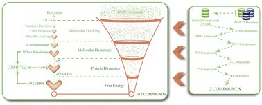 Természetes THR-β agonisták az alkoholmentes zsírmájbetegség kezelésében – 4-O-kafeoilkininsav és dihidroxidehidrodikoniferil-alkohol