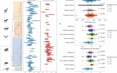 Az életstratégiák evolúciója: Miért élnek tovább a nők, és hogyan befolyásolja a szaporodás az öregedést?