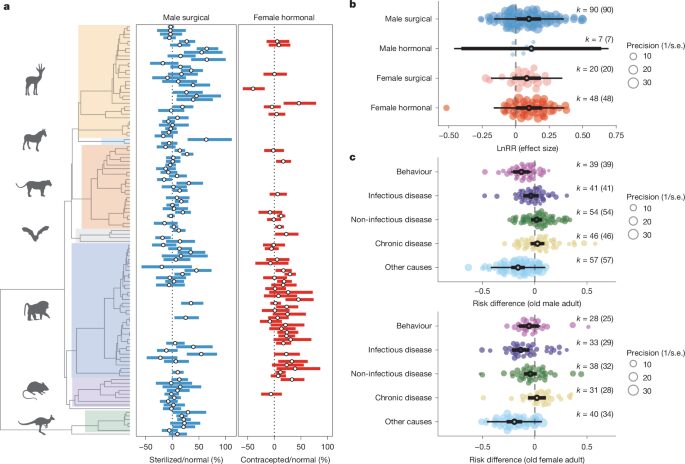 Életstratégiák evolúciója és nemek közötti élettartam különbségek eletstrategiak evolucioja nemek kozotti kulonbsegek szaporodas