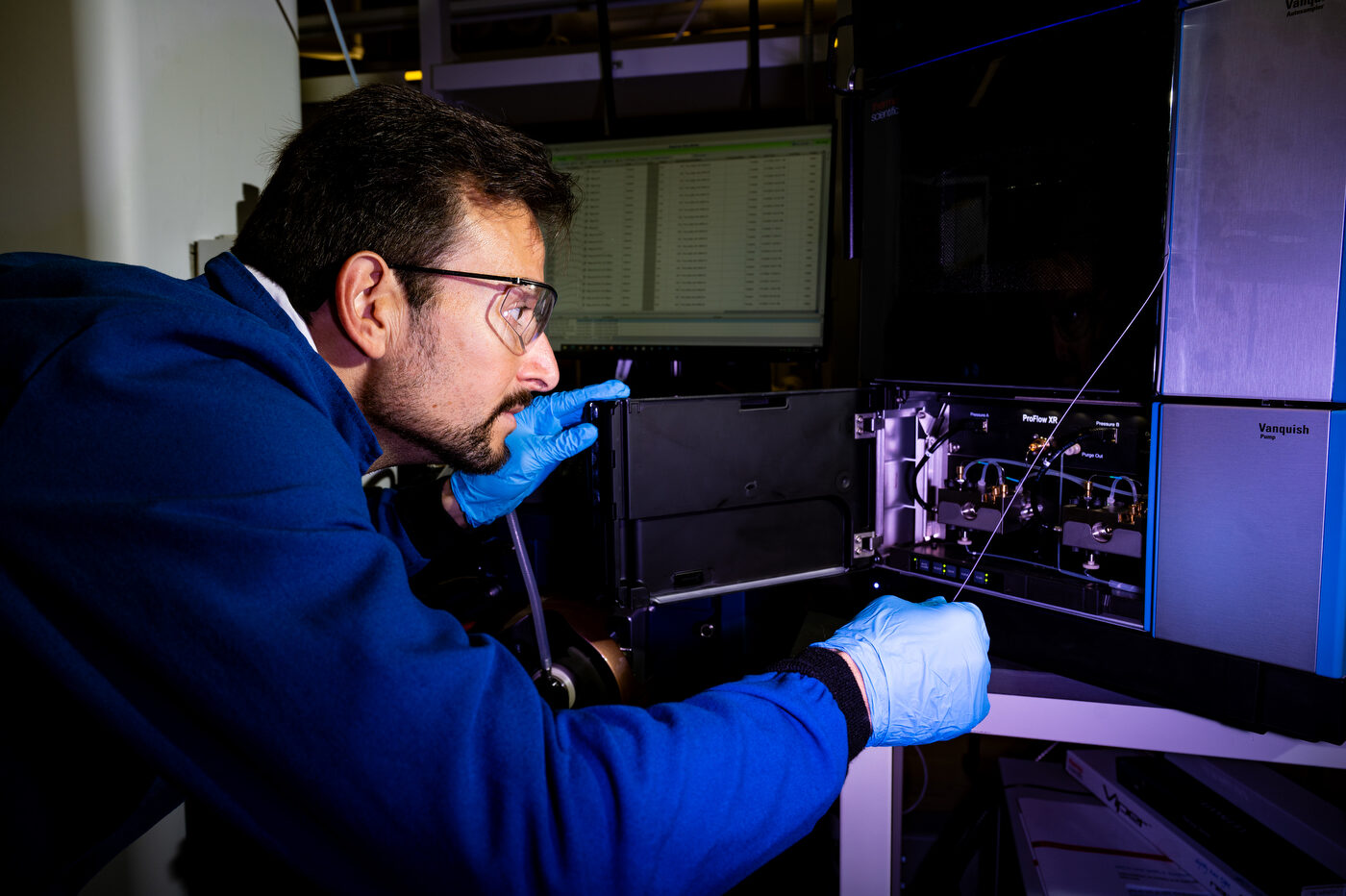 Emlős embriók sejtosztódásának kutatása és őssejt-terápia emlos embriok sejtosztodas kulonbsegek őssejt terápia