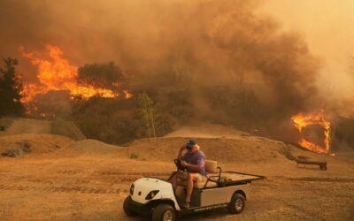 Globális környezeti válság: klímaváltozás, biodiverzitás és a fenntartható jövő kihívásai