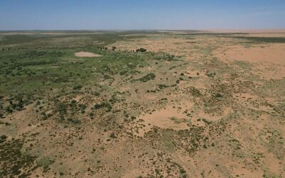 Kína zöldítési programjai és a vízkörforgás váratlan átalakulása – Erdőtelepítés, gyepek helyreállítása és vízhiány