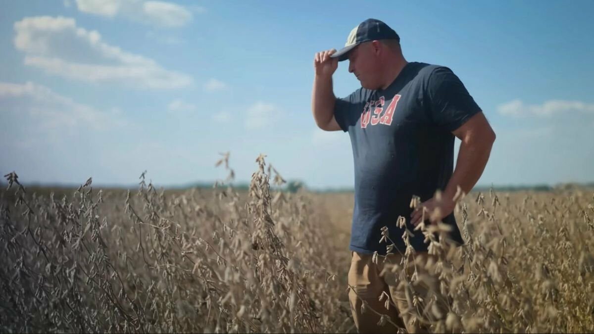 Donald Trump mezőgazdasági segélycsomag a kereskedelmi feszültségek miatt mezogazdasagi-segelycsomag-amerikai-gazdak-kereskedelmi-feszultsegek