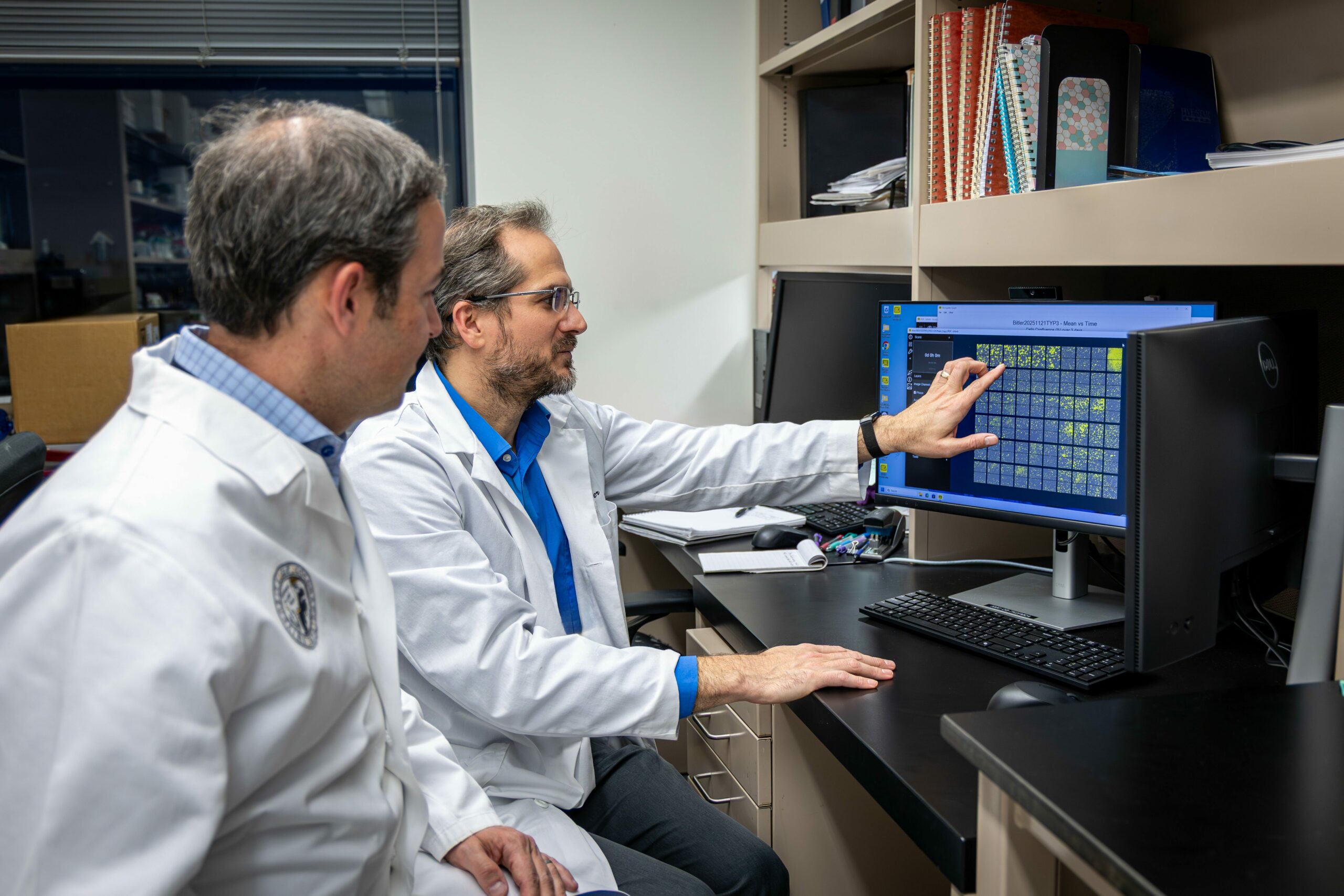 Hatékony kombinált terápia petefészekrák kezelésére – Colorado Egyetem kutatás innovativ petefeszekrak kezeles kombinalt terapia kutatas