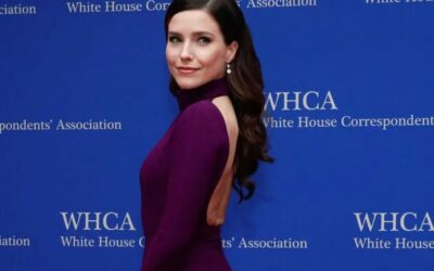 Sophia Bush keményen reagált a MAGA-támogatóra, aki képmását használta politikai gyalázkodásra