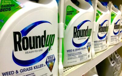 Roundup és a Monsanto botrány: visszavont tudományos cikk és a glifozát biztonsága