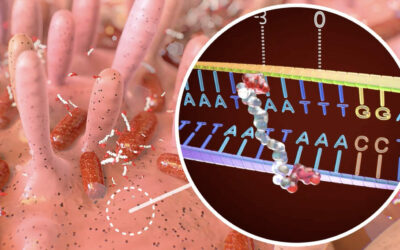 Science News archívum és digitális kiadások – Teljes hozzáférés előfizetéssel