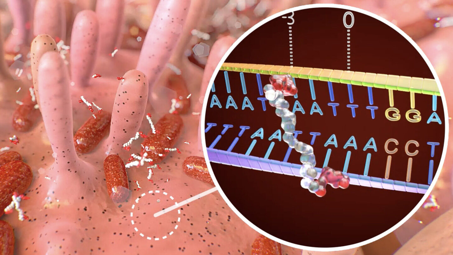 Science News archivum es digitalis kiadasok elofizetese teljes-hozzaferes-tudomanyos-hirek-digitalis-kiadasok
