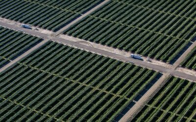 California hatalmas napelemes és energiatároló projektje: a Valley Clean Infrastructure Plan